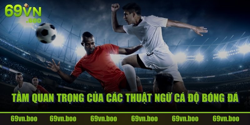 Tầm quan trọng của các thuật ngữ cá độ bóng đá