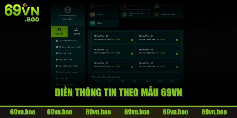 Điền thông tin theo mẫu 69VN