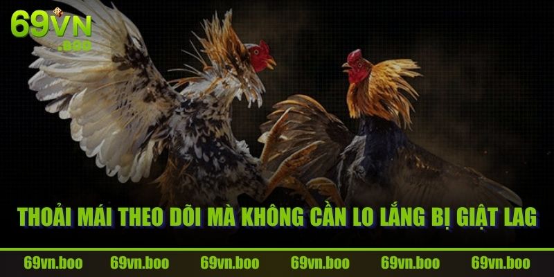 Thoải mái theo dõi mà không cần lo lắng bị giật lag