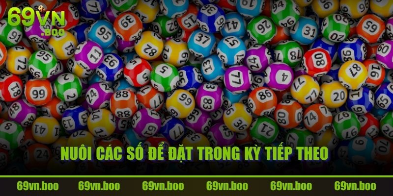 Nuôi các số để đặt trong kỳ tiếp theo